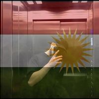 pg_shanks7