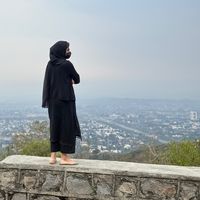 syedarafiamehmood