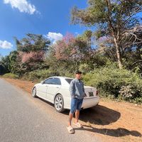 phoesan335