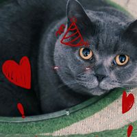 original sound - Fu Ren