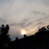 samara_7697