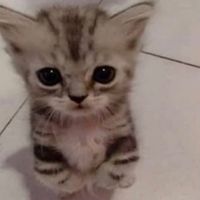 Sigan en ig wero_x7