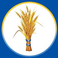tsegaye708