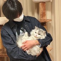 オリジナル楽曲 - めい