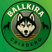 criadero.ballkira