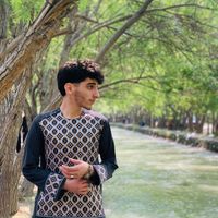 amir.hamza9431