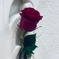 i_looly1414