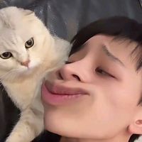yma.yoon