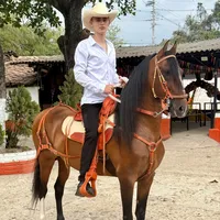 original sound - santiagogalvis_oficial