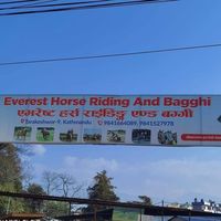 everest.horse.rid
