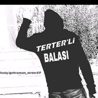 terter.__059