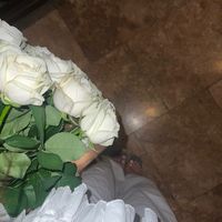 privvvvml___