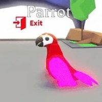 megaparrottrip