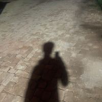 honey1_13_2020