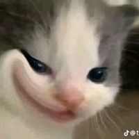 nhạc nền - Chipp cutii 🐷