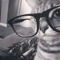 suara asli - 🍵