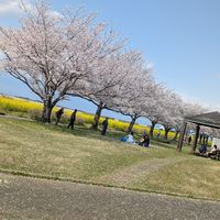 user540250312