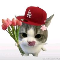 nhạc nền - ngọc ánhh ♡