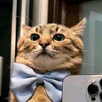 suara asli - nirwan23