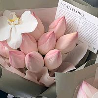 suara asli - tutormemasakalarumahan