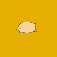 ちょっかい問題 こわどり