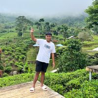 suara asli - M