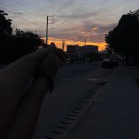 ysla._7