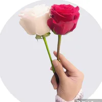 original sound - .cool_lady