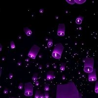 theamazingzee