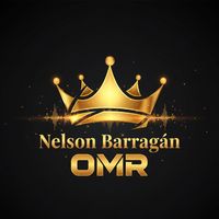 nelsonbarraganomr