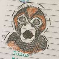kkaiser_jc