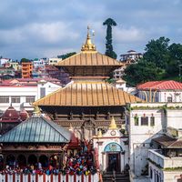 hamro.job.sentar.nepal