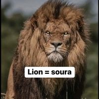 son original