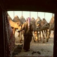الصوت الأصلي