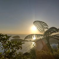 theworldisyouroyster1478