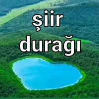 orijinal ses