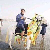 asifalisroyajutt10
