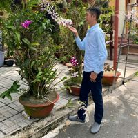 nhạc nền - Đa cấp