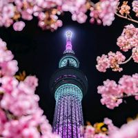 beauty.of.japan69