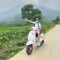 nhạc nền - Việt ♥ Android