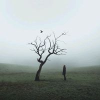 junayed3545
