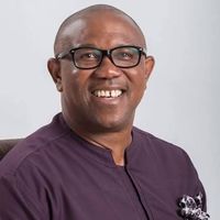 peterobi.2027