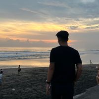 delfin_santoso06