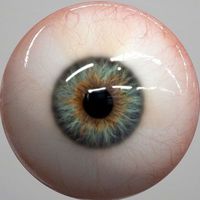 eri.0725.e