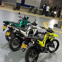 bufon_1234567