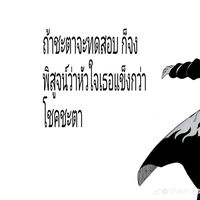 w.b.p.k34