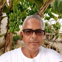 original sound - francisco.flete3