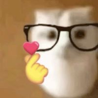 mameow_shi