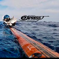 expressspearguns