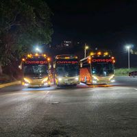 amante.de.los.buses